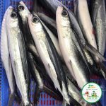 Lẩu cá chuồn nấu cà chua xanh